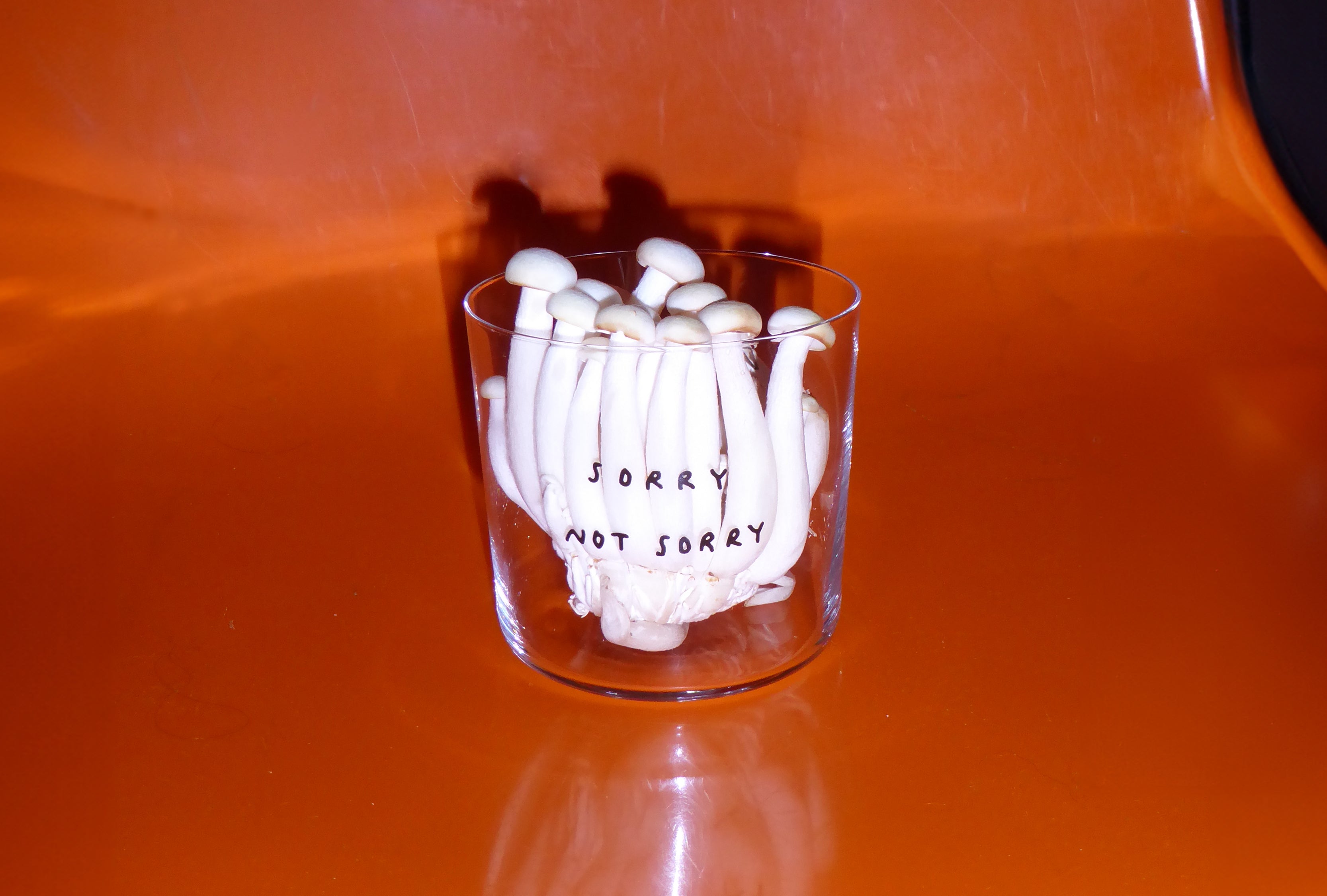 Yahya Studio / Johanna Schwarzer - Glass - Sorry not Sorry