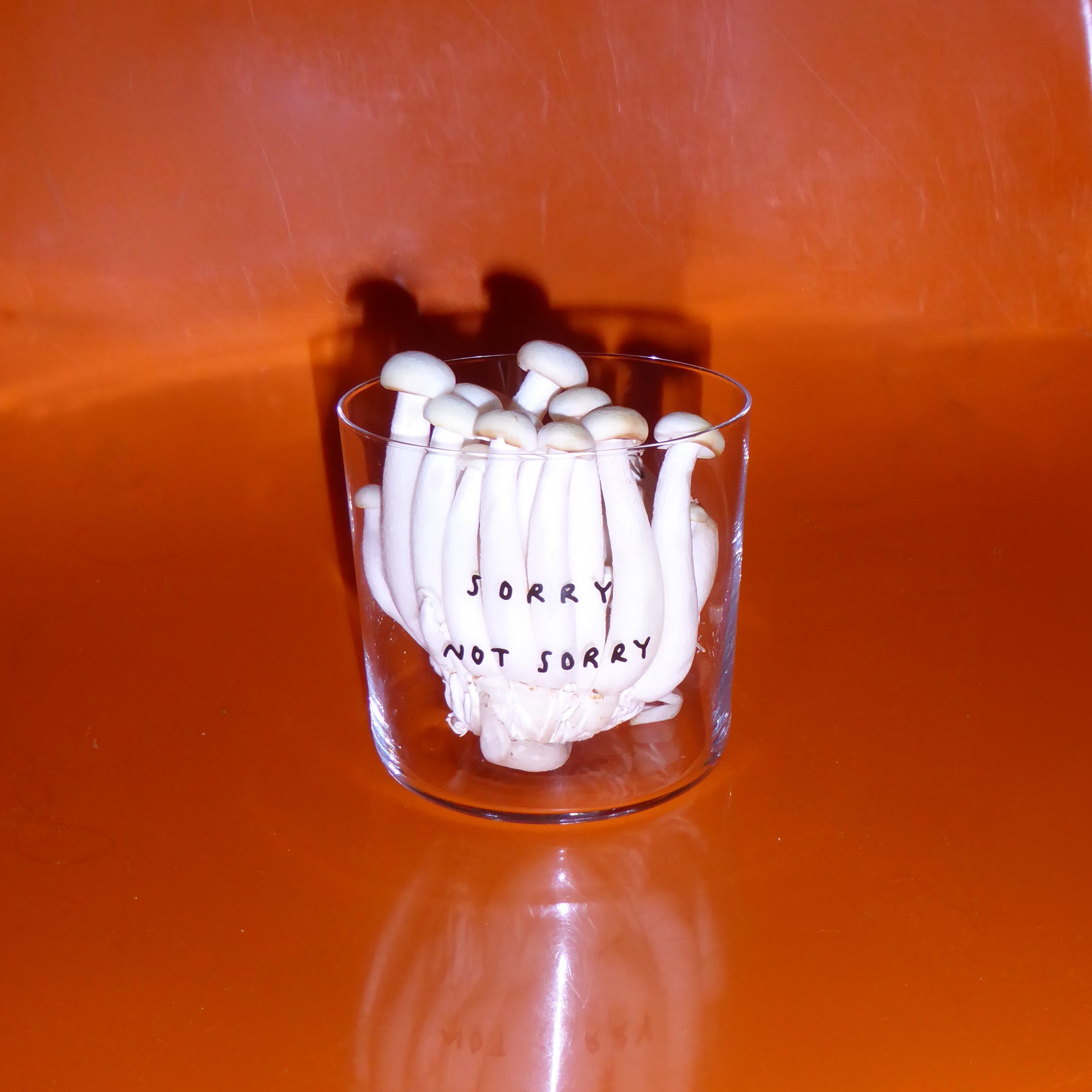 Yahya Studio / Johanna Schwarzer - Glass - Sorry not Sorry