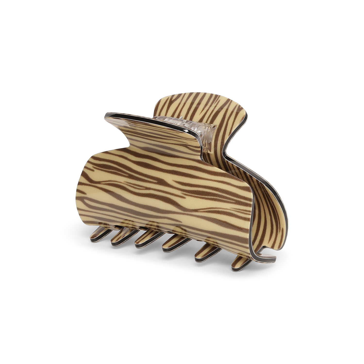 Molly_Middle_Zebra.png
