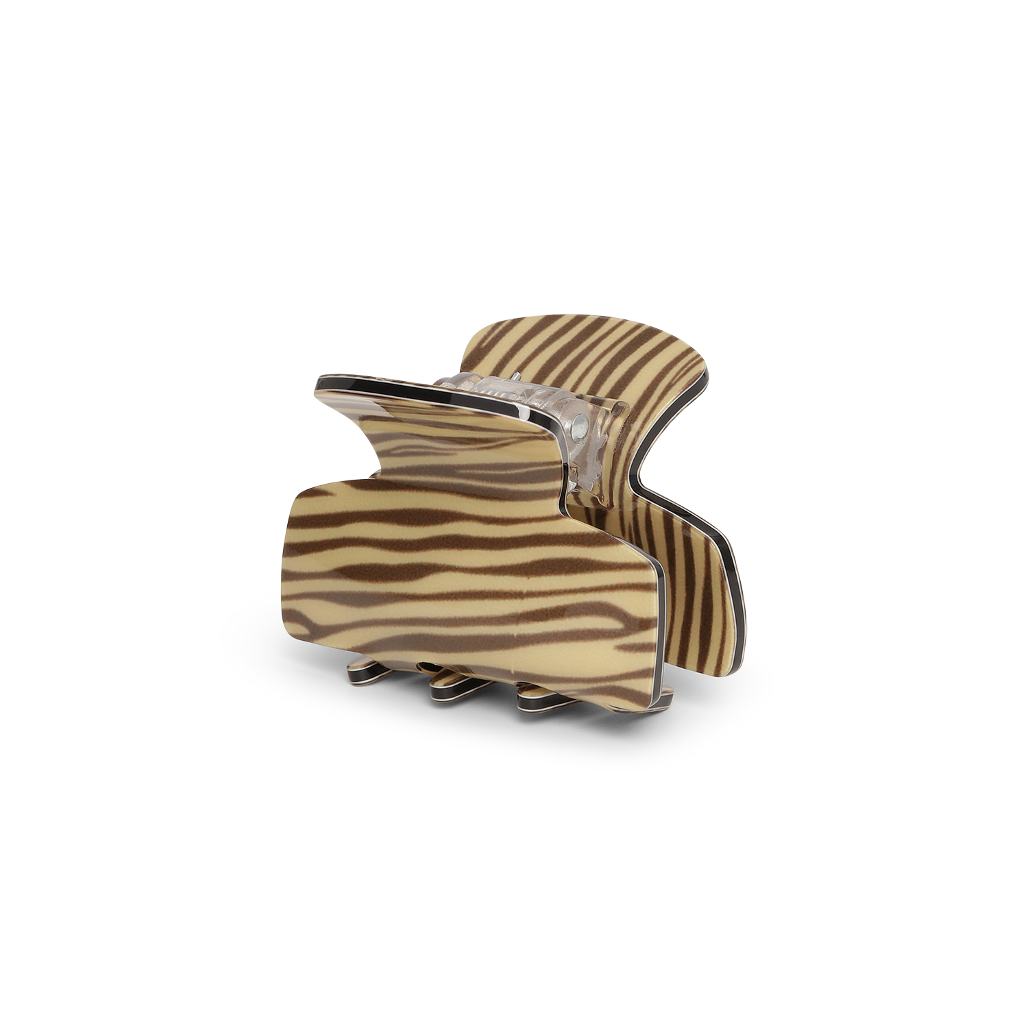 Molly_Mini_Zebra.png
