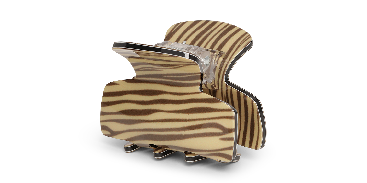 Molly_Mini_Zebra.png