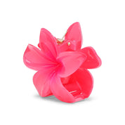Plumeria-Bella-Big-Pink
