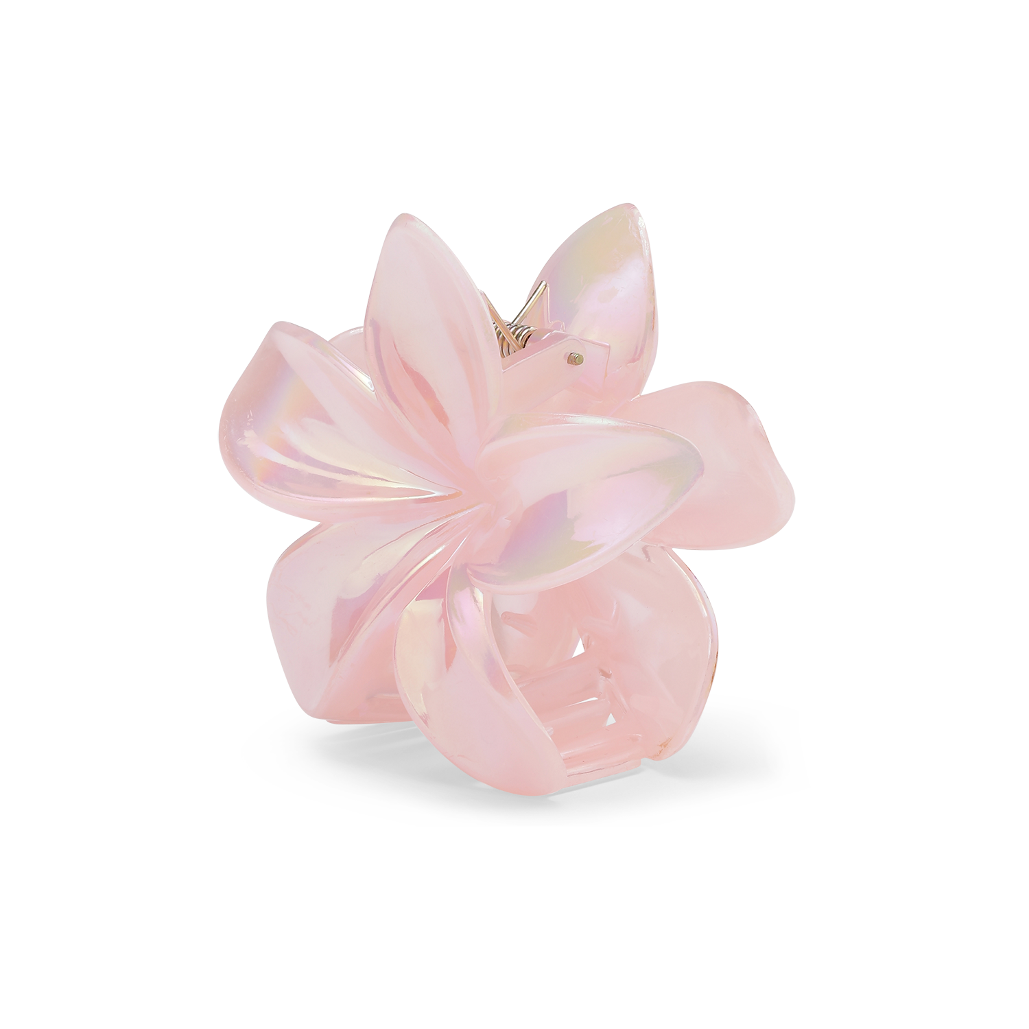 Plumeria-Pastel-Big-Baby-Pink7oVKmo3Ri0Q5H