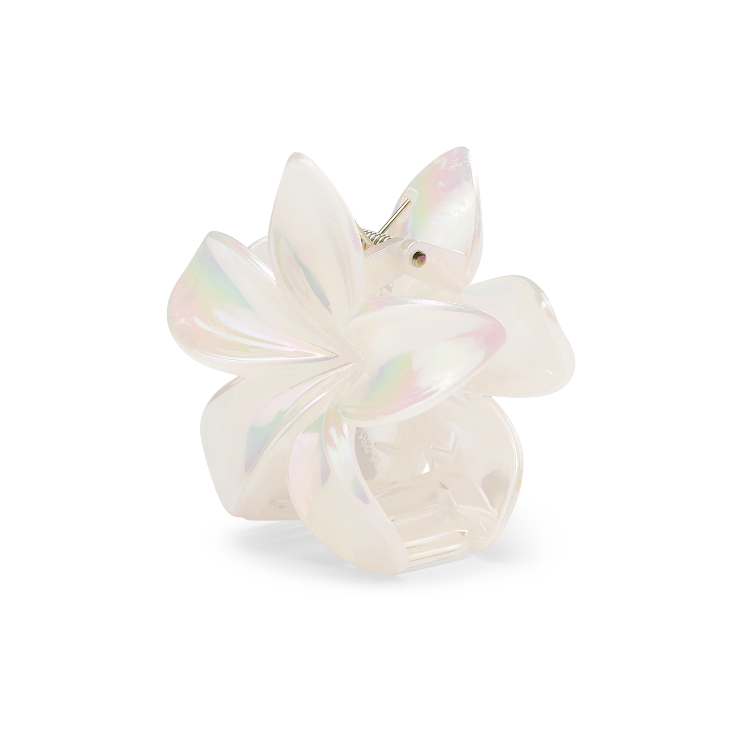 Plumeria-Pastel-Big-Bright-White9x8Eji2grhX1v