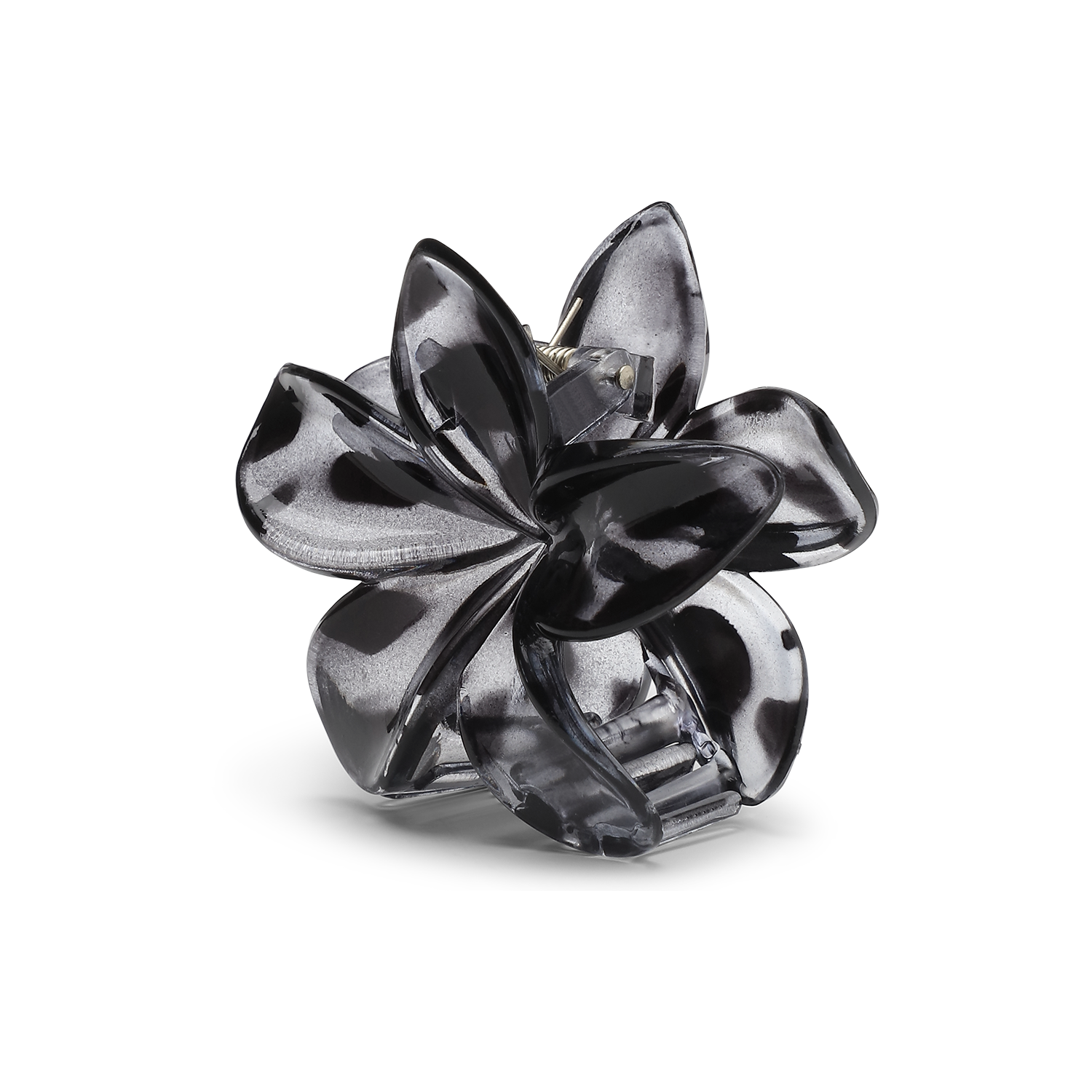 PlumeriaClarityBigBlack.png