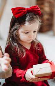 Hust & Claire / HCKarina Pointelle Everyday dress / Teaberry