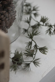 Trend049_2772-00_trend10