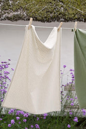 Trend236_66125-81_trend001