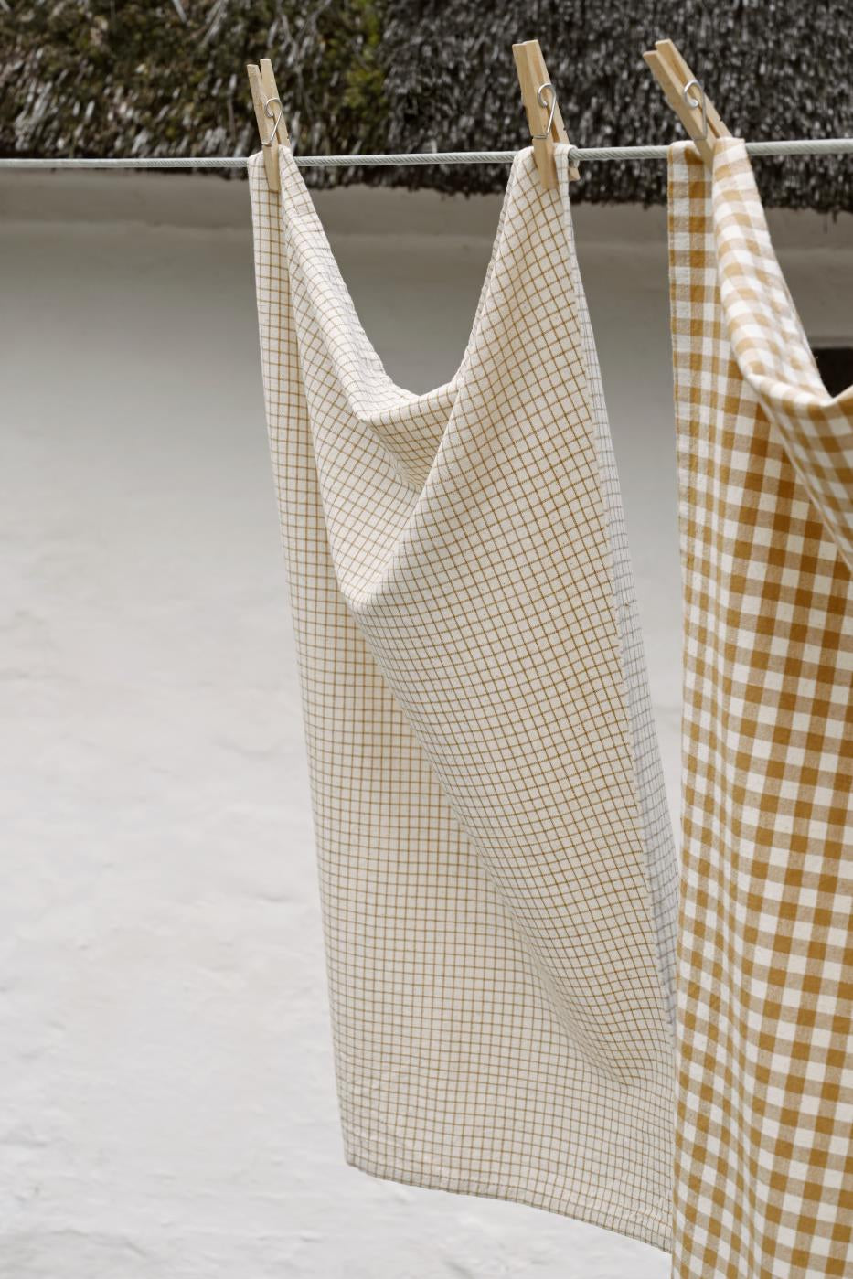 Trend243_66128-14_66121-14_trend001
