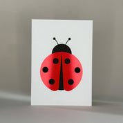 HERR & FRAU RIO - Ladybug Postkarte