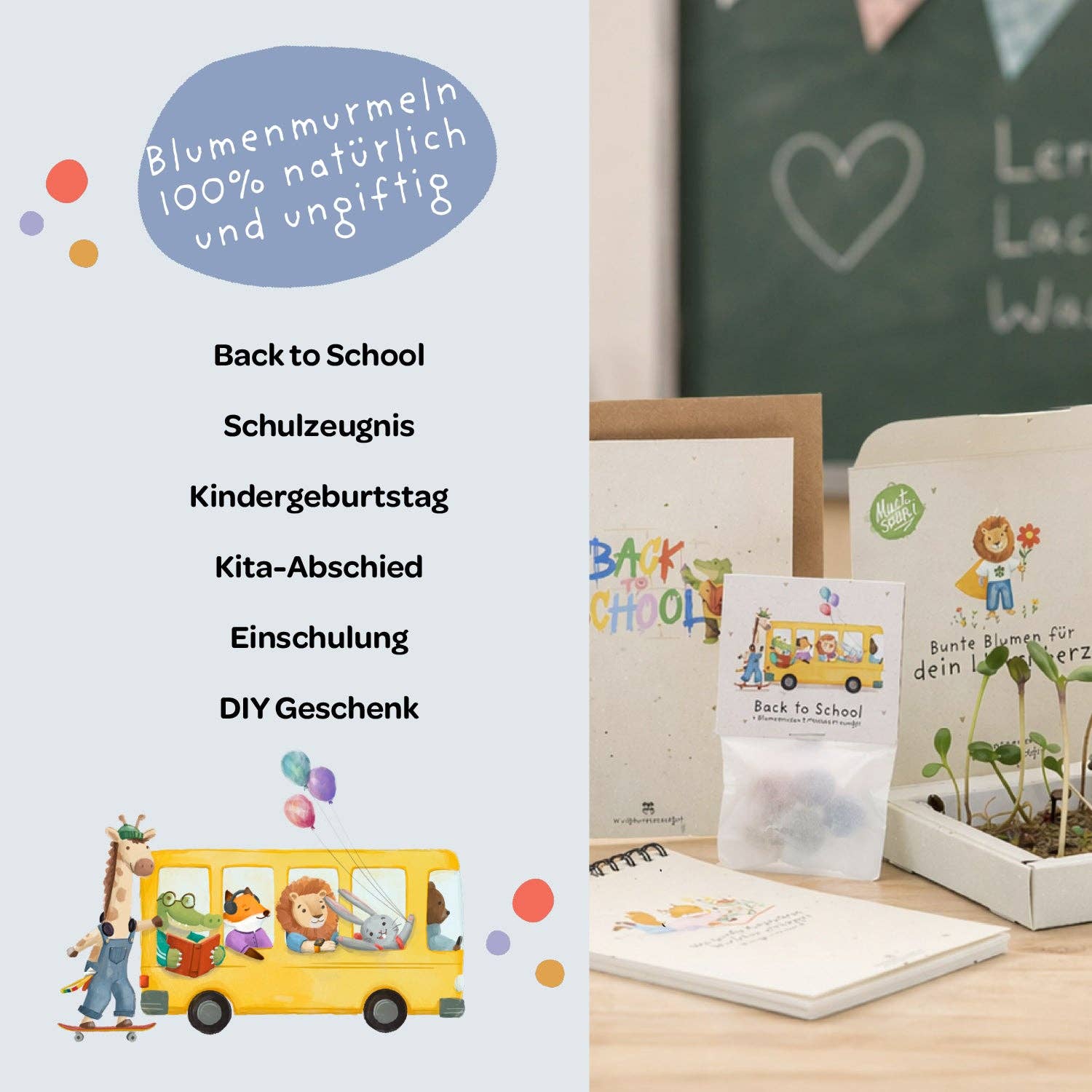 TDJ Stadtgärtner GmbH - Blumenmurmeln Pergamin Back-to-School - Tafel