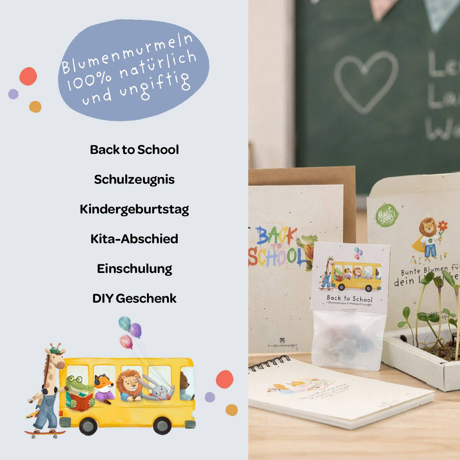 TDJ Stadtgärtner GmbH - Blumenmurmeln Pergamin Back-to-School - Tiere