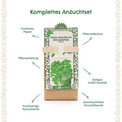 TDJ Stadtgärtner GmbH - Minigarten - Basilkum - BIO