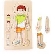 Schichtenpuzzle Anatomie Junge | Puzzles | Holz