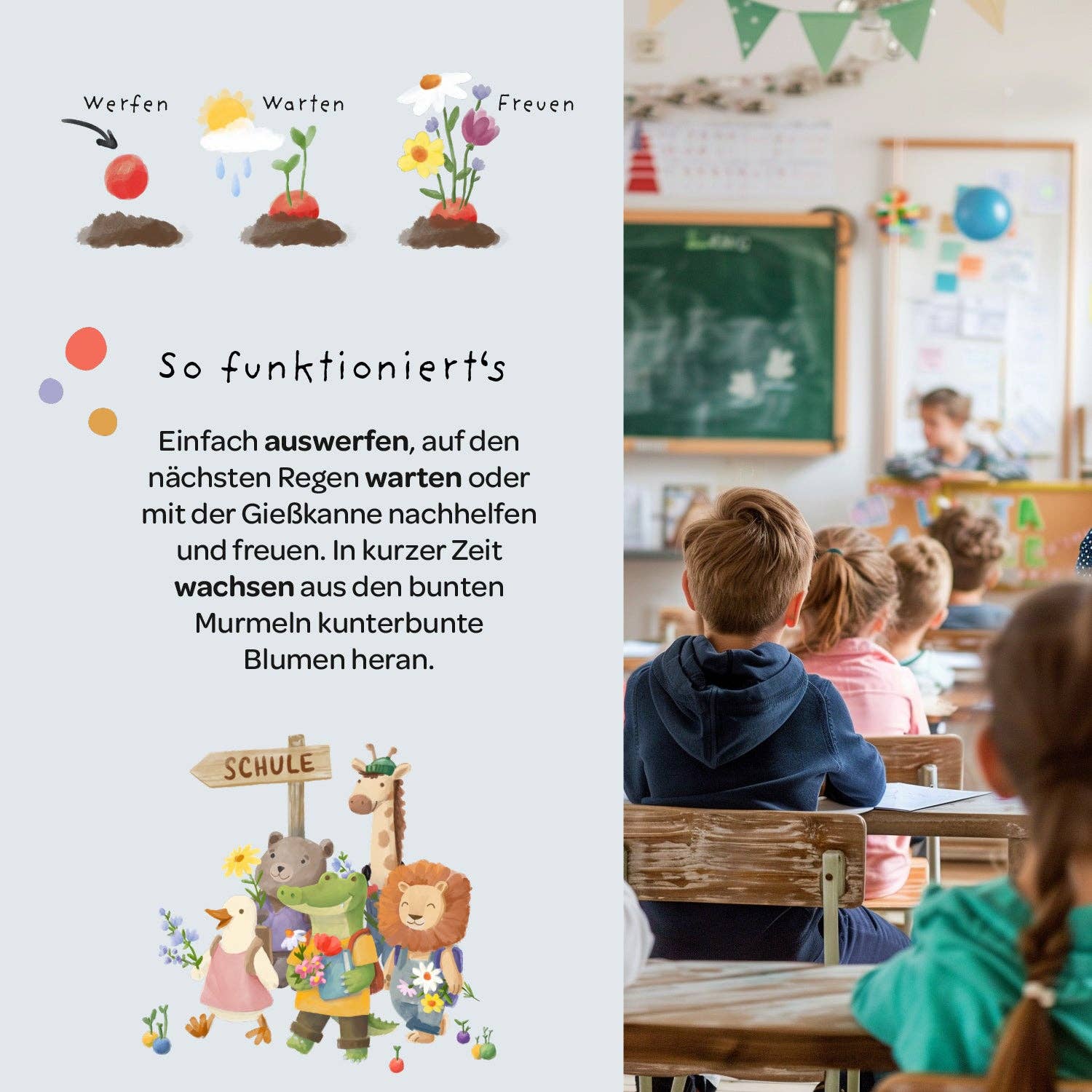 TDJ Stadtgärtner GmbH - Blumenmurmeln Pergamin Back-to-School - Bus
