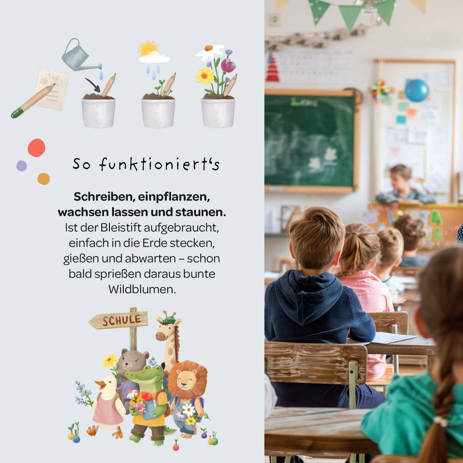 TDJ Stadtgärtner GmbH - Back-to-School, Blumenstift