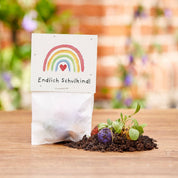 TDJ Stadtgärtner GmbH - 5er Blumenmurmeln im Pergaminbeutel - "Endlich Schulkind" -Einschulung