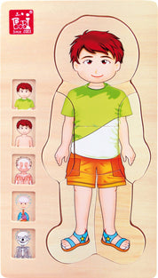 Schichtenpuzzle Anatomie Junge | Puzzles | Holz