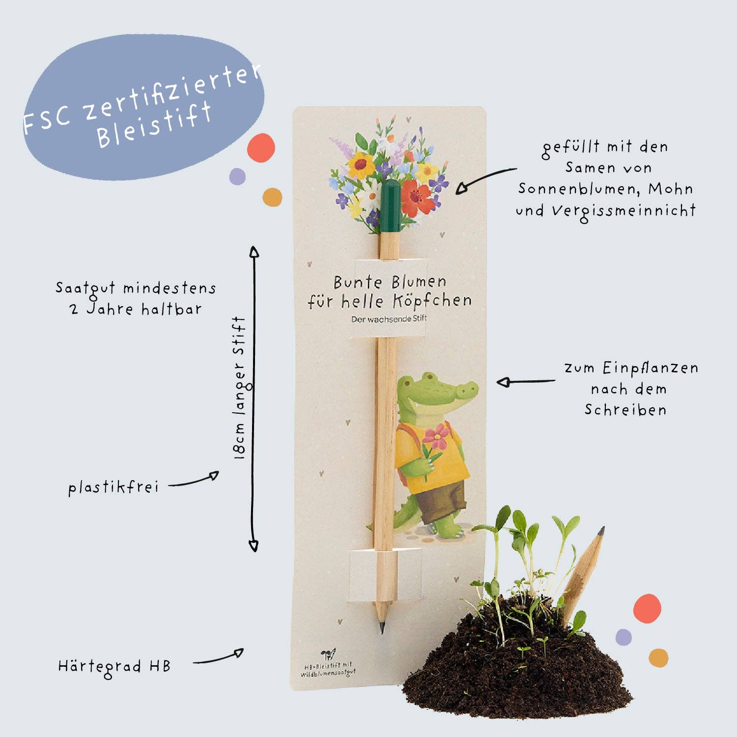 TDJ Stadtgärtner GmbH - Back-to-School, Blumenstift