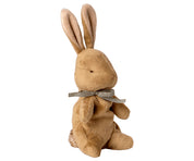 image-php-15