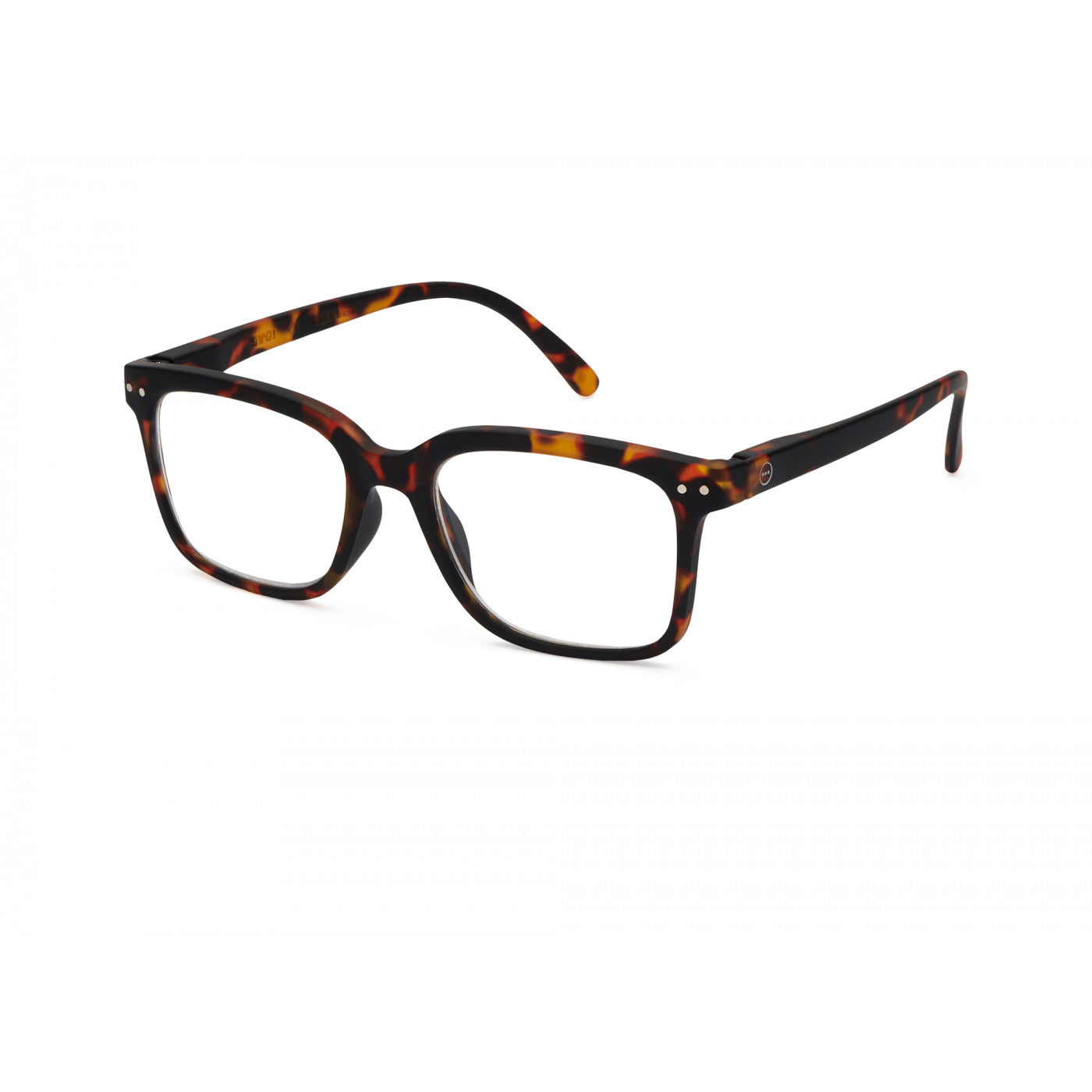 l-tortoise-reading-glasses