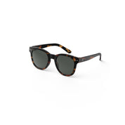 n-sun-tortoise-sonnenbrillekzj1C78r2AUOc
