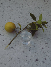 yahya-when-life-gives-you-lemons-03